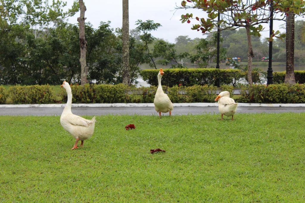 Amatique Bay Hotel Puerto Barrios Kültér fotó